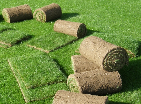 Prodaja travnih tepihov